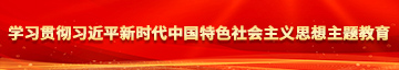 www.逼逼操学习贯彻习近平新时代中国特色社会主义思想主题教育